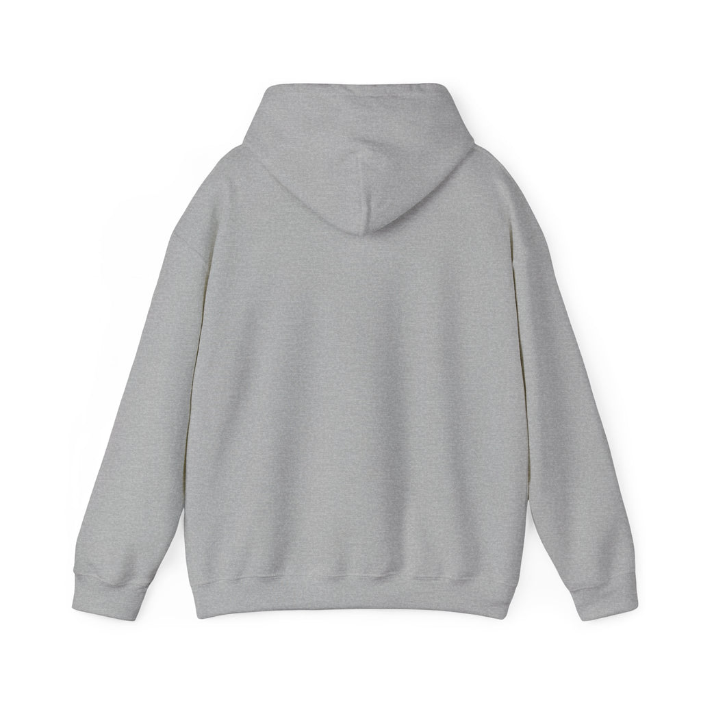 Office Raccoon Watercolor Graphic Pullover Hoodie