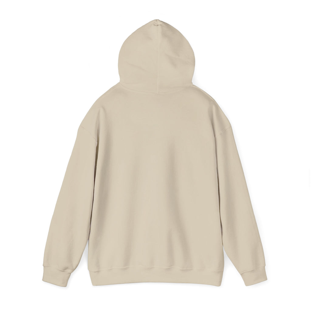 Office Raccoon Watercolor Graphic Pullover Hoodie